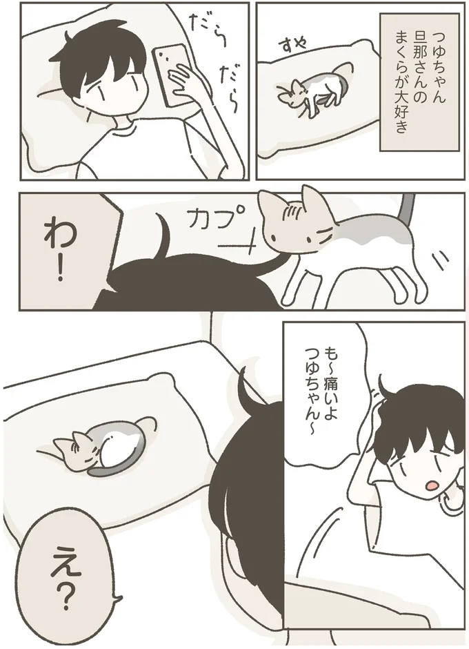 旦那さんのまくらが大好き