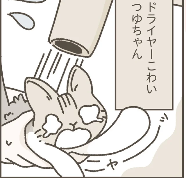 ドライヤーこわい！我が家で初めてのシャンプー体験