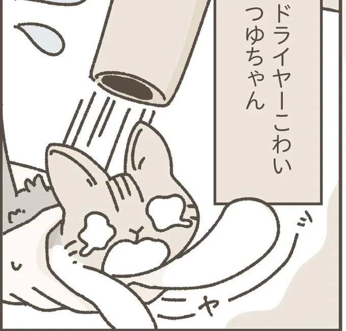 ドライヤーこわいつゆちゃん