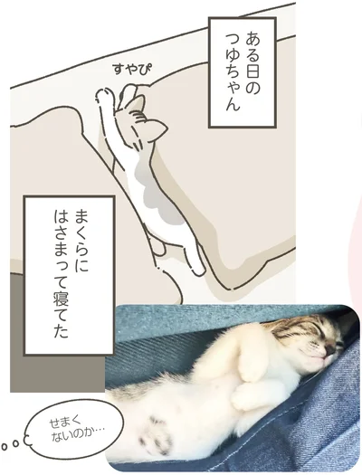 まくらにはさまって寝てた