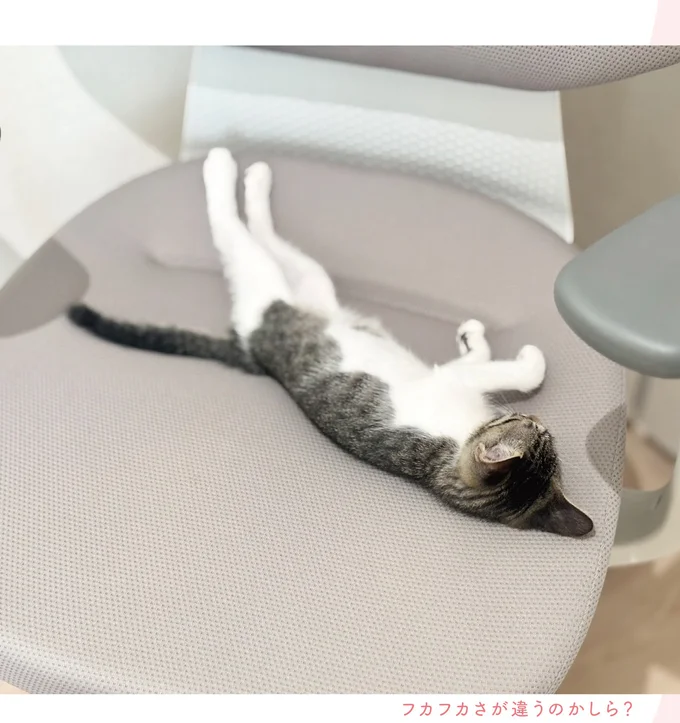 フカフカさが違うのかしら？