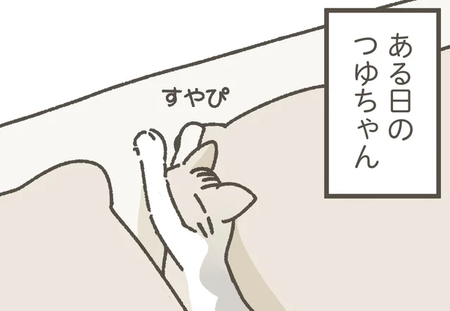 やっぱりねこは隙間が好き？まくらの間ですやすや