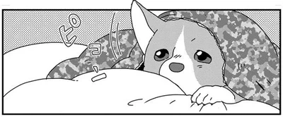 お、起きた？キャンピングカーで愛犬と一緒にモーニング