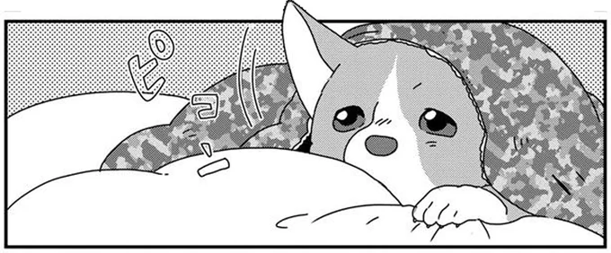 お、起きた?キャンピングカーで愛犬と一緒にモーニング