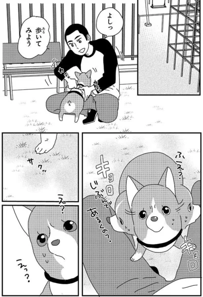 『ぼくもいっしょ！』より