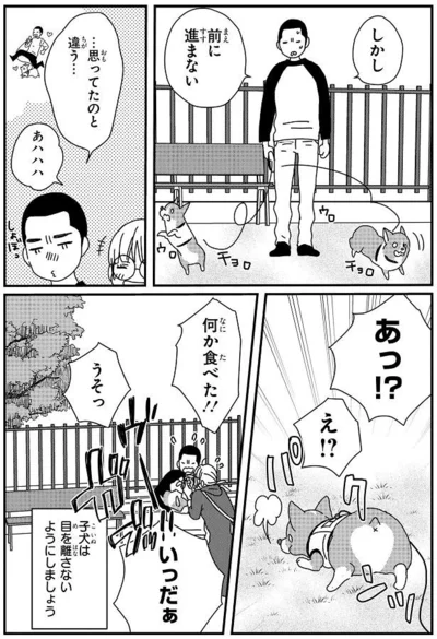 『ぼくもいっしょ！』より