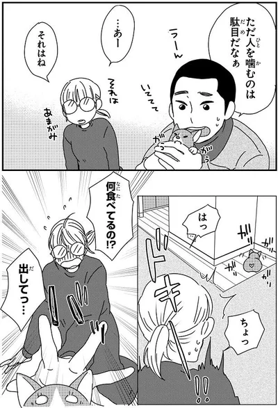 人を噛むのは駄目