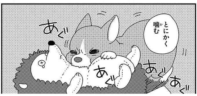 困った子犬の噛みグセ。でも、かわいいから全部許す!