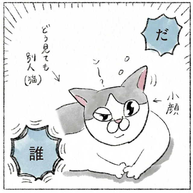 「だ、誰？」夜と顔が違いすぎる寝起きの猫