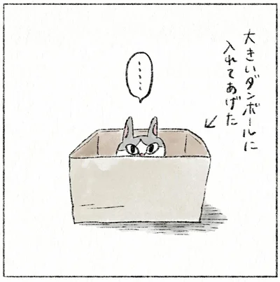 大きいダンボールに入れてあげた