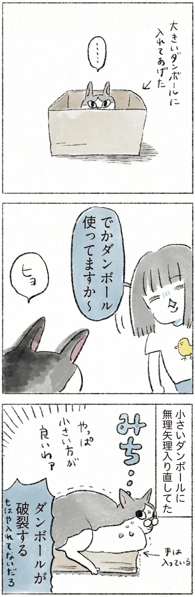 ダンボールが破裂する