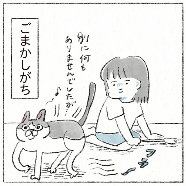 失敗はなかったことに！なんでもない振りでごまかす猫