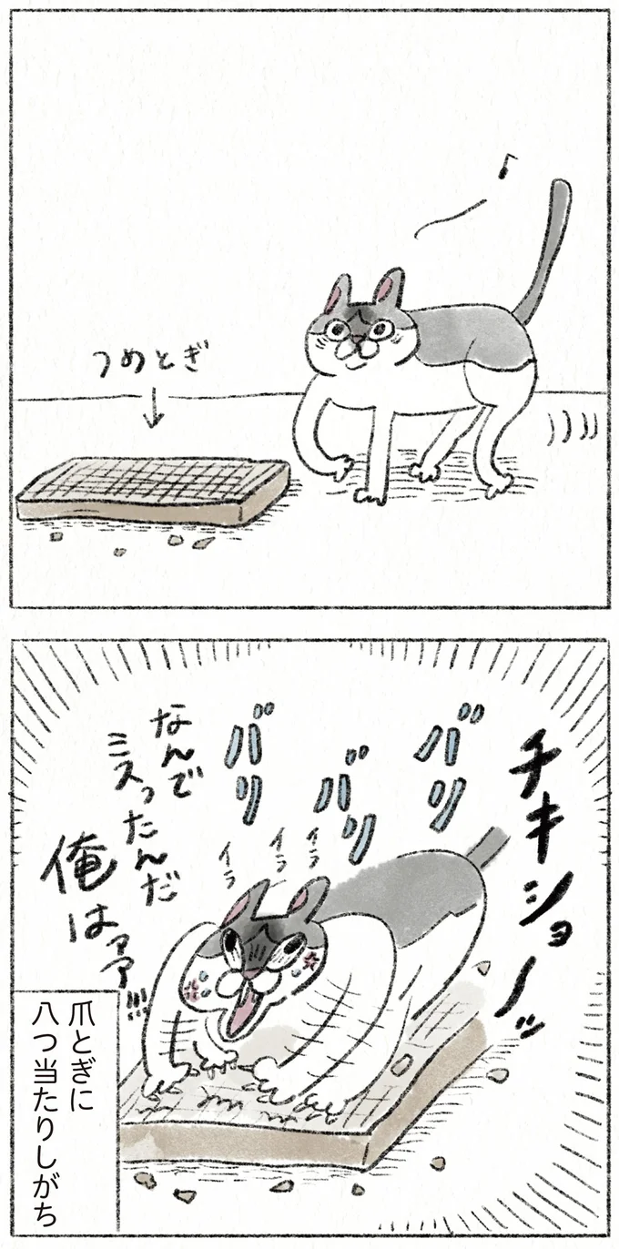 爪とぎに八つ当たりしがち
