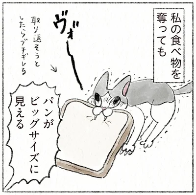 パンがビッグサイズに見える