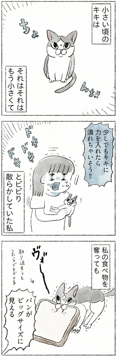 それはそれはもう小さくて