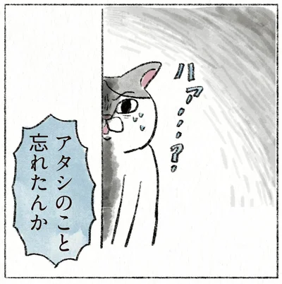 アタシのこと忘れたんか