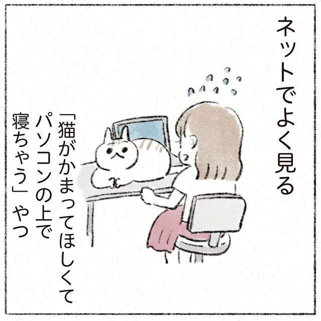 ネットでよく見る「猫あるある」。実家猫はやっぱり塩対応