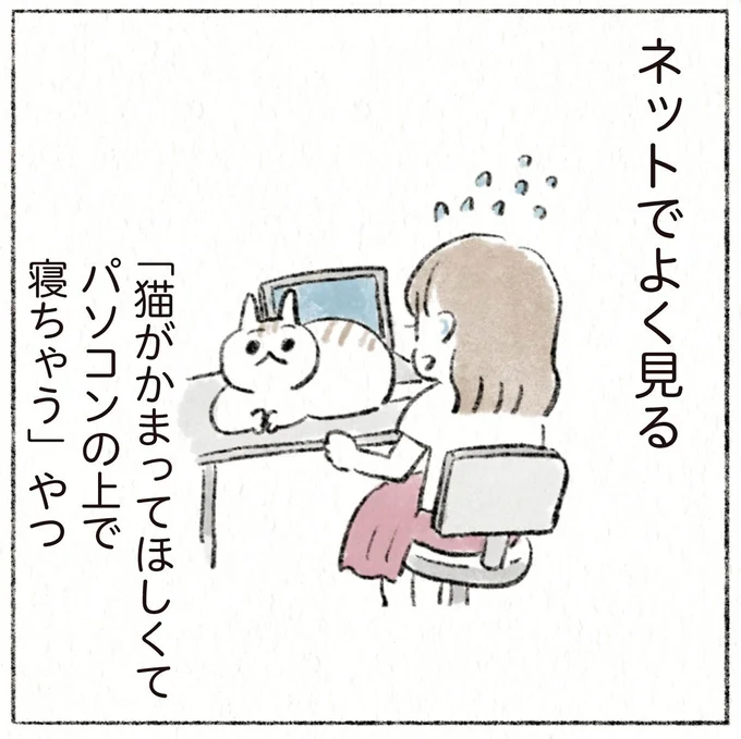 ネットでよく見る