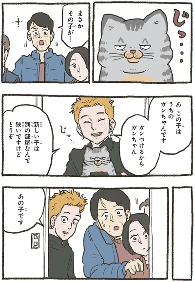 『ねこに転生したおじさん6』より