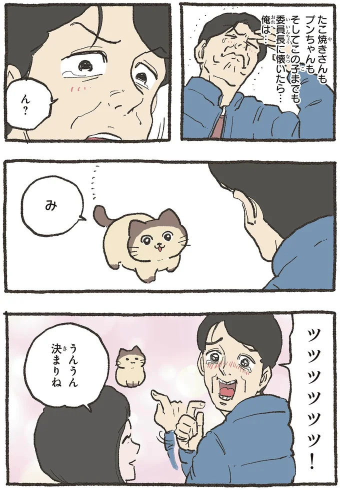 『ねこに転生したおじさん6』より