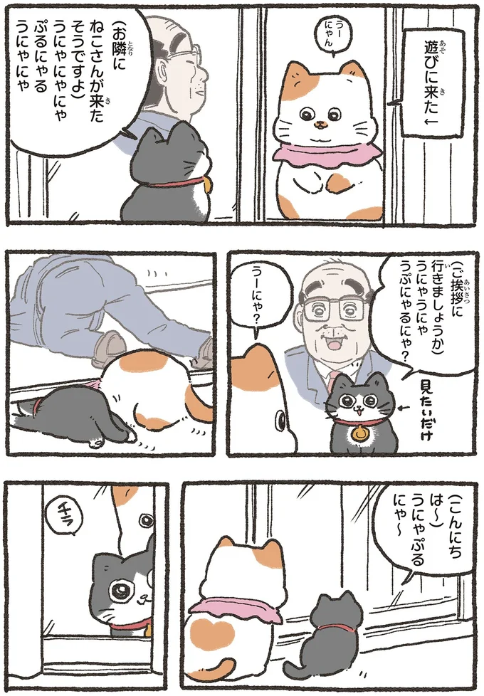 『ねこに転生したおじさん6』より
