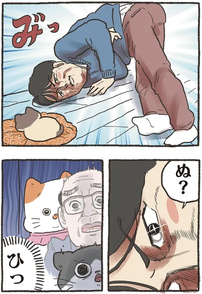 『ねこに転生したおじさん6』より