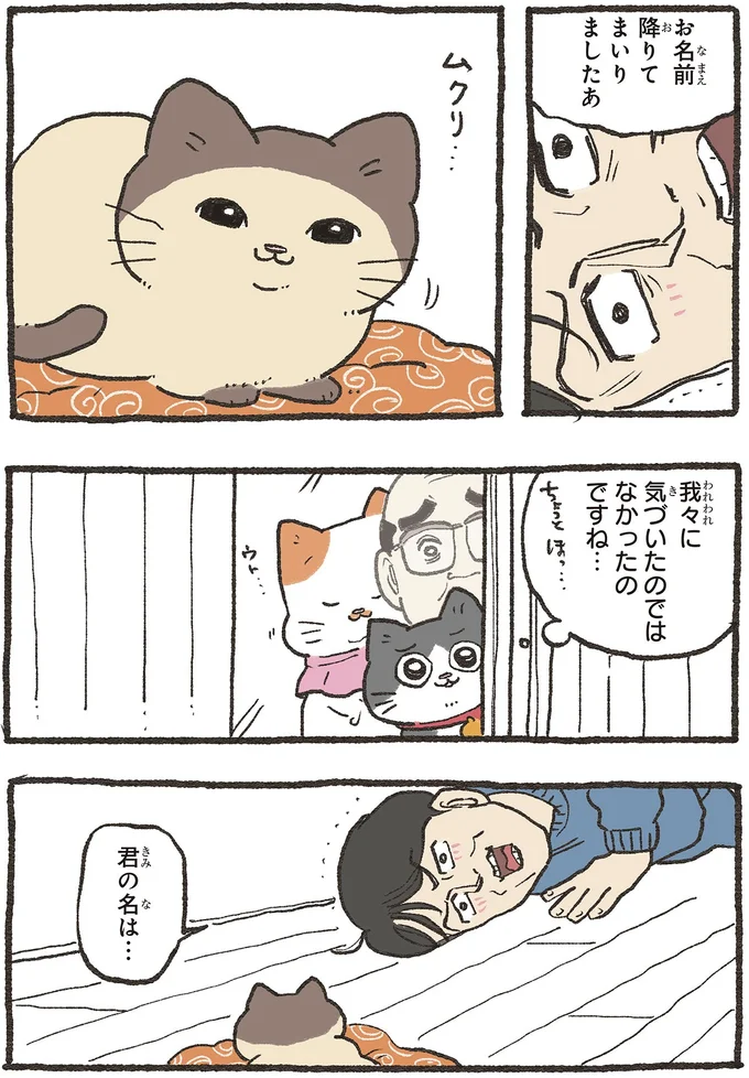 『ねこに転生したおじさん6』より