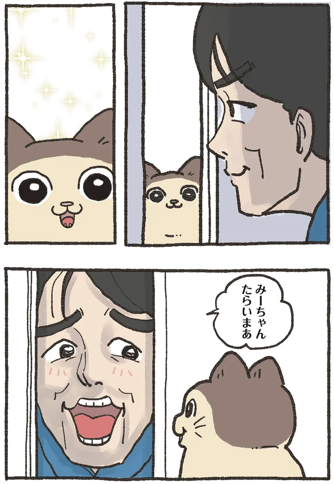 『ねこに転生したおじさん6』より