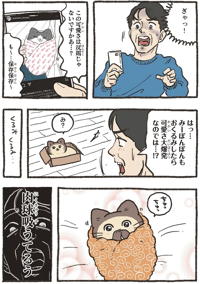 『ねこに転生したおじさん6』より