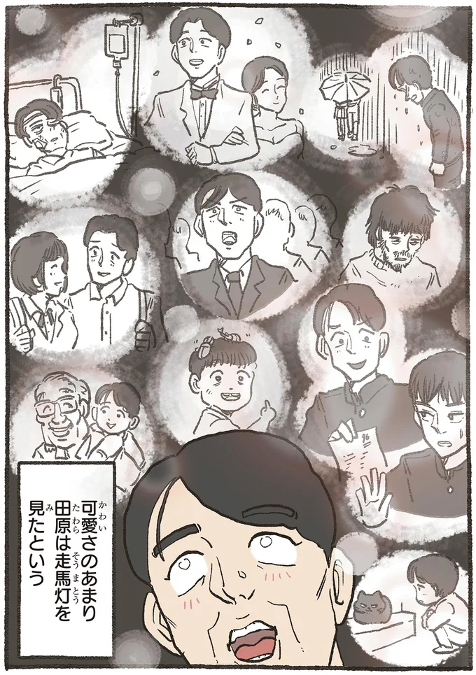 『ねこに転生したおじさん6』より