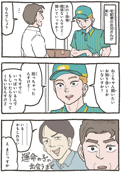 ねこちゃん飼いたいお知り合いとかいないすか？