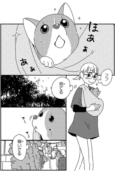 はじめてのおさんぽ