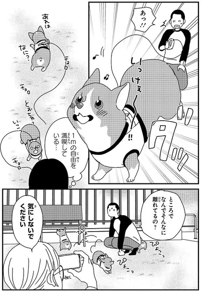 1mの自由を満喫している…