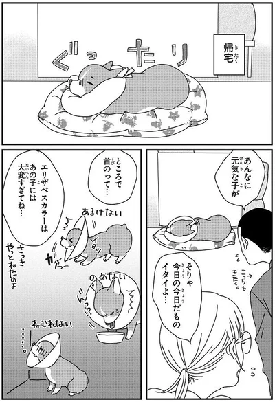 あんなに元気な子が