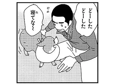 どんなときでも「おかえり～」。ワンコの健気な姿に泣ける！