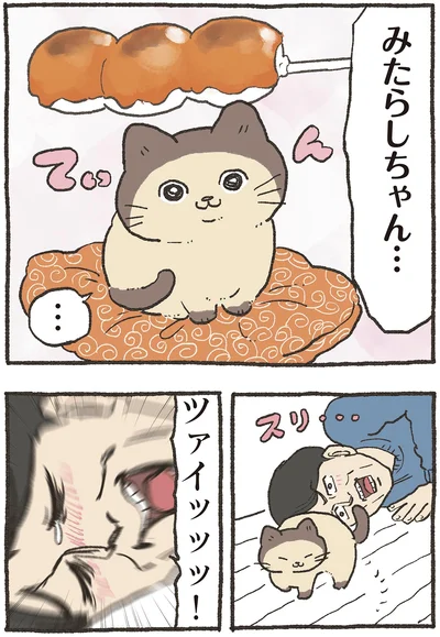 みたらしちゃん…