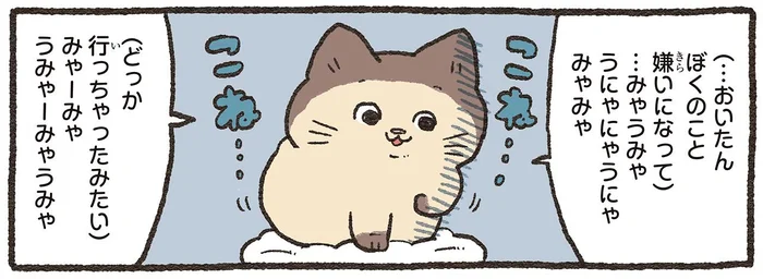 溺愛されているのに!?「飼い主に嫌われた」と悲しむ猫さんにねこおじの反応は