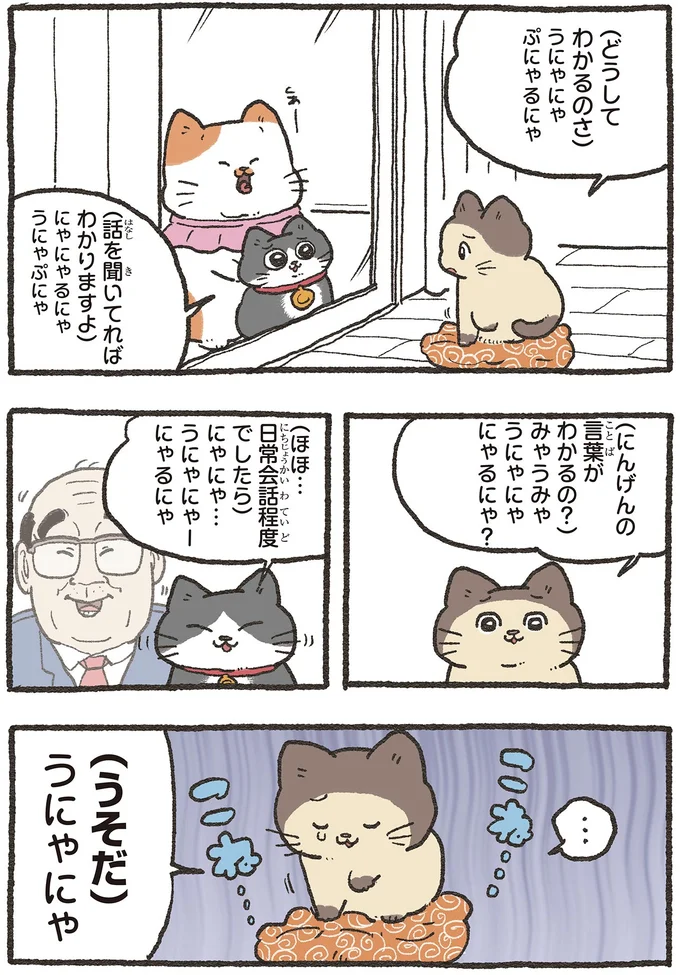 にんげんの言葉がわかるの？