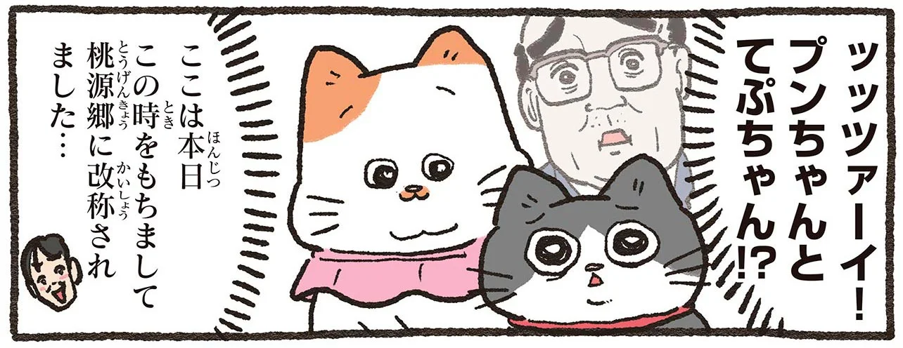 ここは桃源郷!? 愛猫に出迎えられ、窓の外にも猫ちゃんたちが