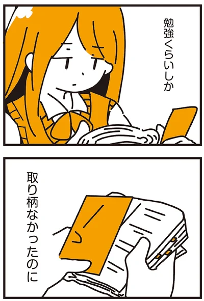 勉強くらいしか取り柄なかったのに