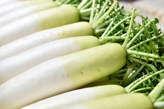 大根の辛い部分は上の部分？ 下の部分？ 覚えておきたい冬野菜の使い分け方