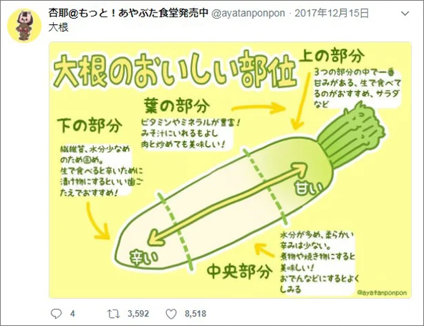 大根の辛い部分は上の部分 下の部分 覚えておきたい冬野菜の使い分け方 画像2 4 レタスクラブ