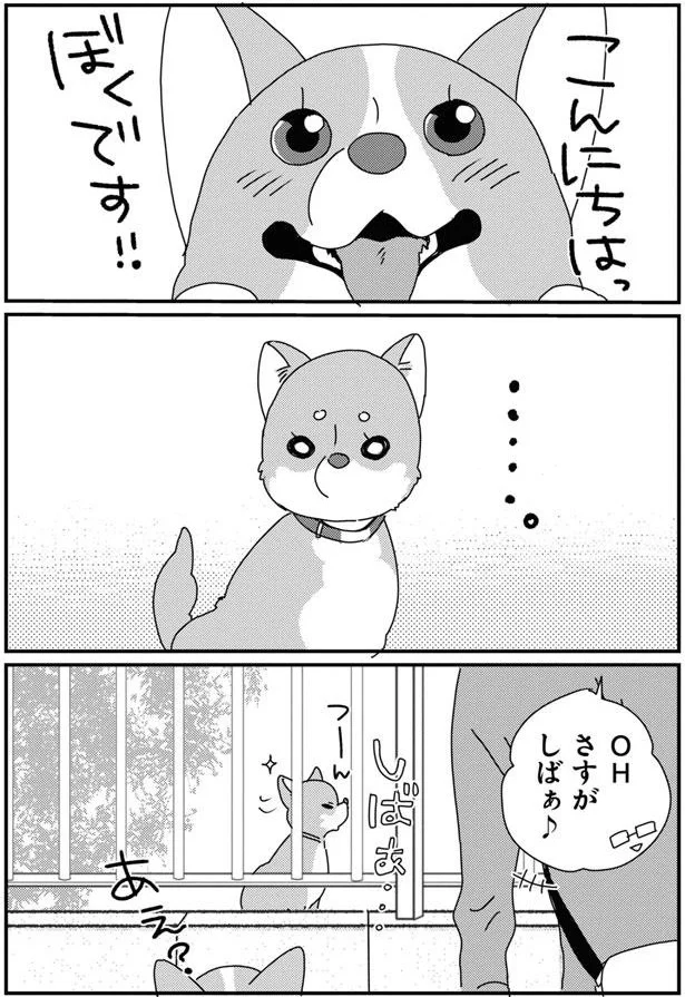 『あしょんでよッ〜うちの犬ログ〜9』より