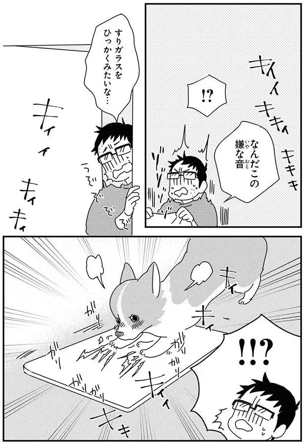 『あしょんでよッ〜うちの犬ログ〜9』より