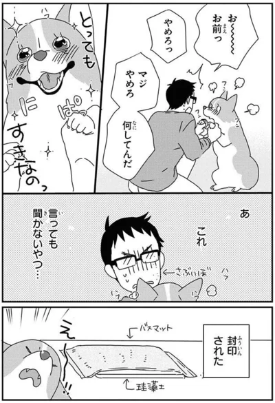 『あしょんでよッ〜うちの犬ログ〜9』より