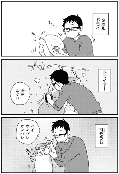 『あしょんでよッ〜うちの犬ログ〜9』より