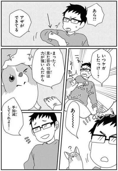 『あしょんでよッ〜うちの犬ログ〜9』より