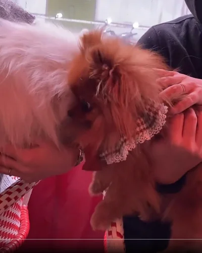 お友達のしじみくんのことが大好きなぽきちくん▶大好きですが片思い（⇒次へ）