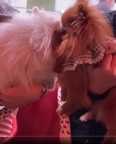 好き！があふれるぽきちくん▶ときどきしじみくんにキレられちゃうことも…（⇒次へ）