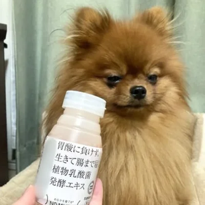 「どうせくれへんやんけ…」のお顔▶あげられないけれど…（⇒次へ）